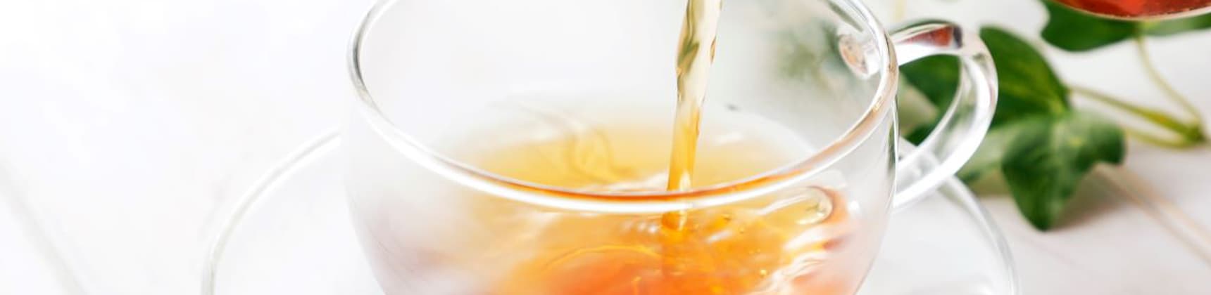 プライバシーポリシー